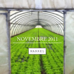 //////// novembre 2011 //////// novembre 2011