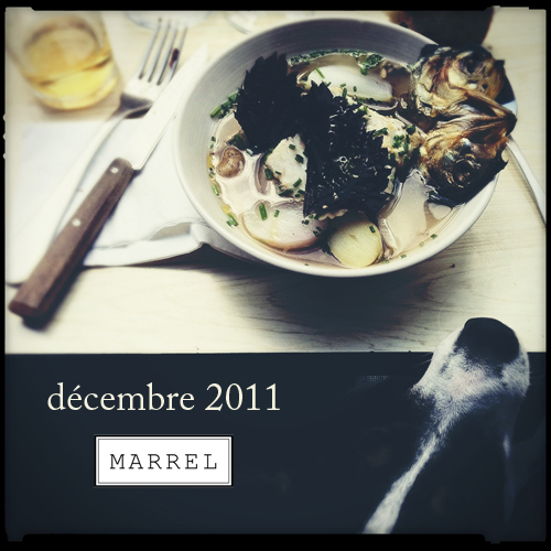 marrel - photo - Design - Saint remy de provence - décembre 2011